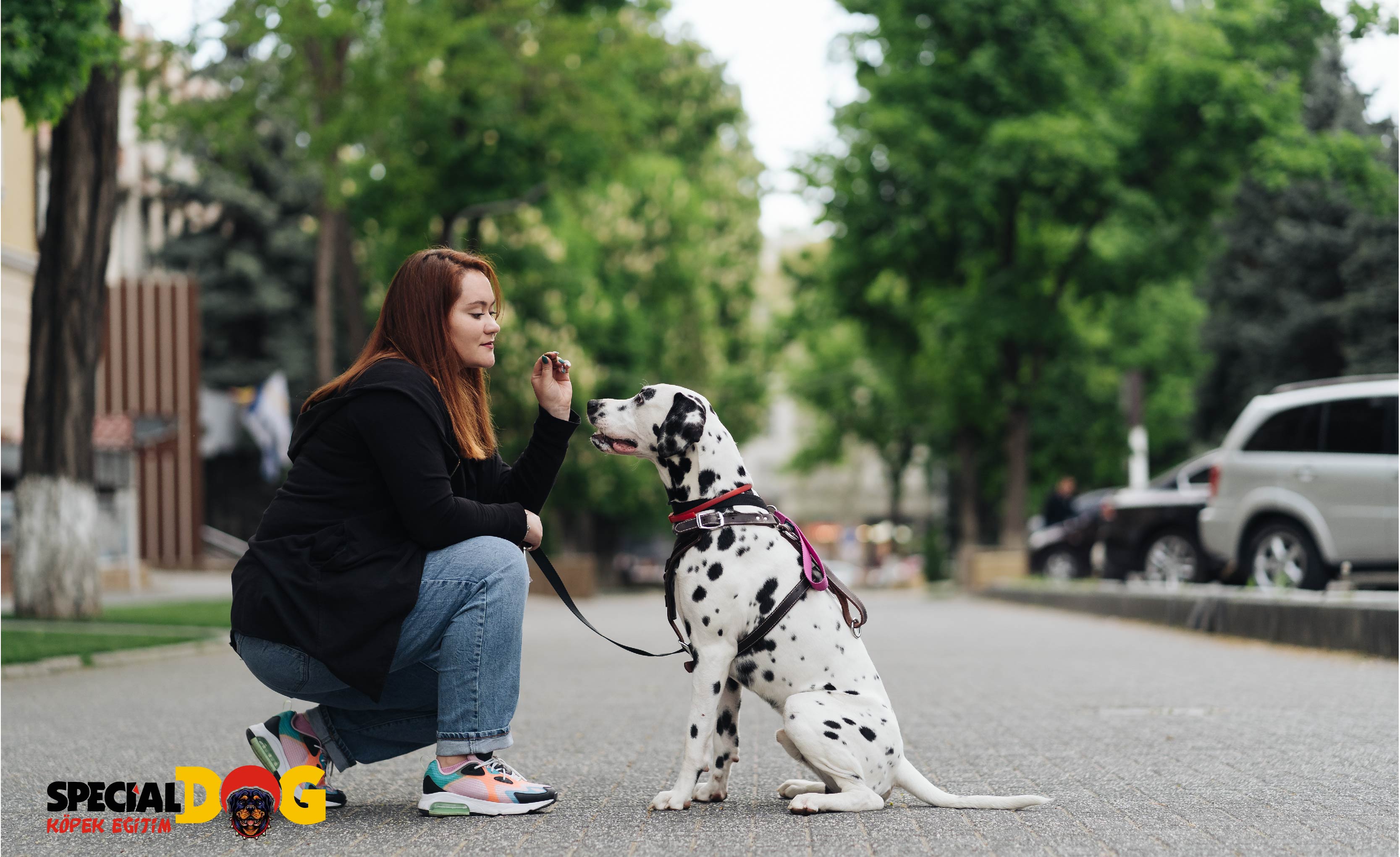 Davranış Bozuklukları Davranış Bozuklukları