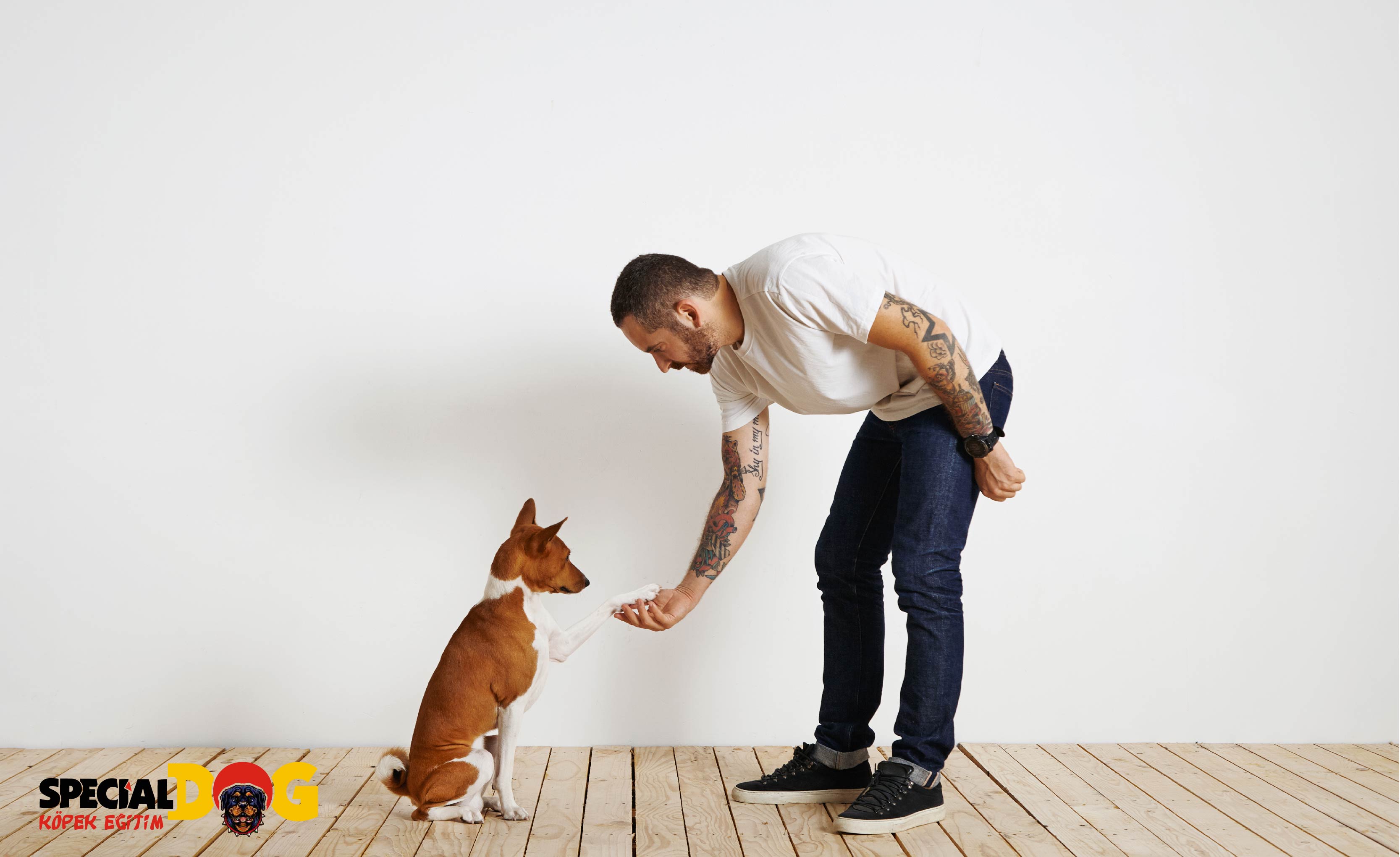 İtaat Eğitimi İtaat Eğitimi