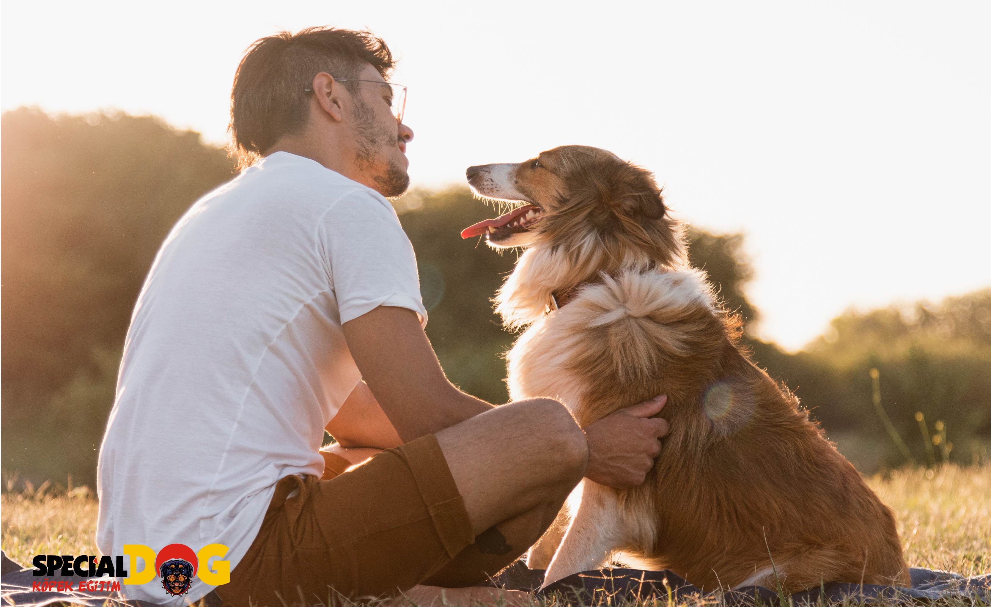 Sosyalizasyon Eğitimi Sosyalizasyon Eğitimi